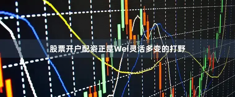 股票开户配资正是Wei灵活多变的打野